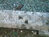 image of grave number 371923